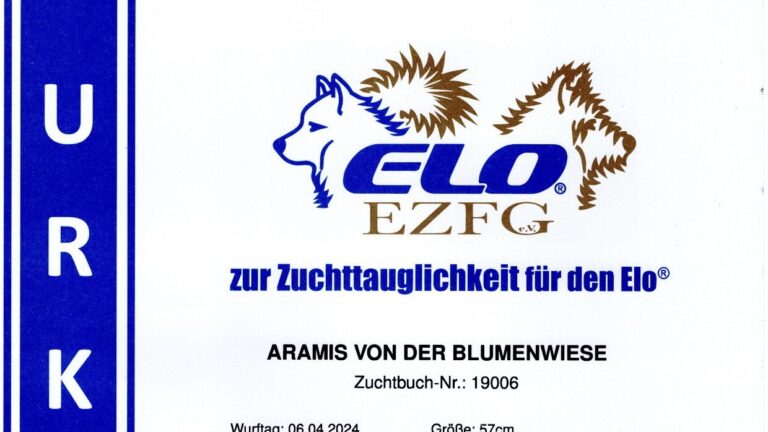 Zuchturkunde quer